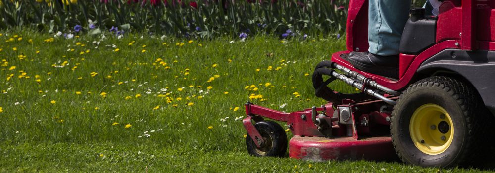 Closeup of a riding landscaper on the lawn mower cutting the gra